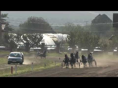 Trka "Mlekara Kruna" 03.10.2020  Lord Aprikot - Milan Tasić