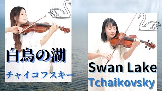Download lagu 【Classic】チャイコフスキーの「白鳥の湖」からメインテーマをバイオリンデュオ| Swan Lake by Tchaikovsky mp3