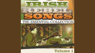 Young Roddy Mccorley