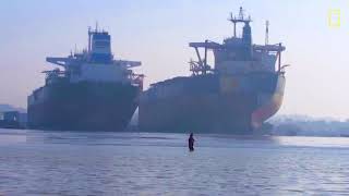 Whatever I Want - Death Grips Music Video