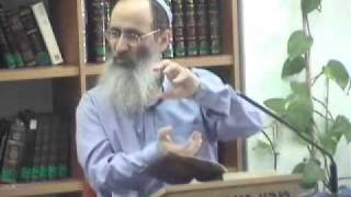 15202-1 מי מייצג את החתולים בבית המקדש?