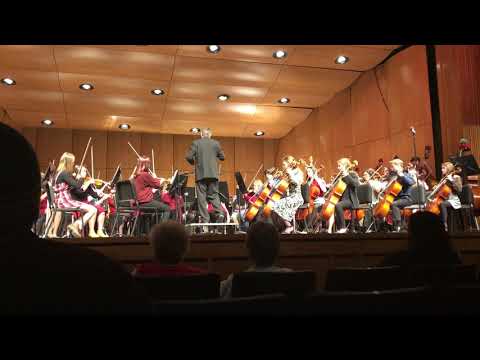 NHS Symphonic Orchestra Nutcracker Dance of the Sugar Plum Fairy 2018