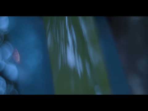 Trevor Kowalski - Brothers