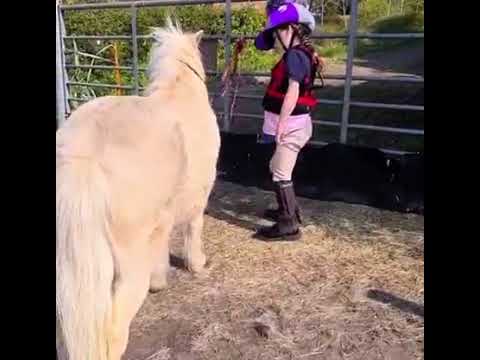 Carmela and her pony