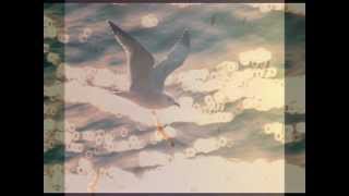 Planet Boelex - Seagull Scene