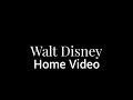 FBI Warning Screen 2011 Walt Disney Home Video Logo