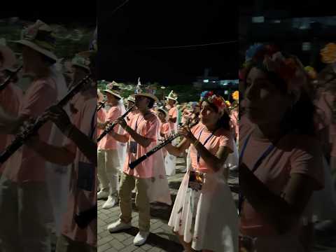 Banda Sinfónica Villamaria-Desfile Concurso Nacional Anapoima Cundinamarca 2025
