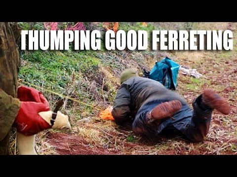 Thumping Good Ferreting Thumping Good Ferreting