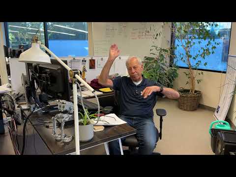 DirectStream DAC with or without a preamp?