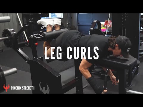 Prone Leg Curl