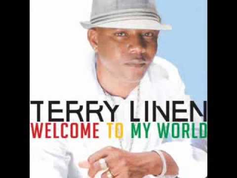 Terry Linen - Have to Get to Know You (VP Records)