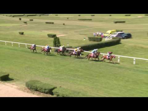 18. 6. 2016 - Cena hřebčína Vlachovice