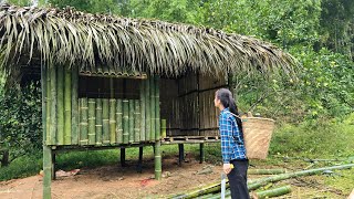 Download lagu 90 days of hard work. Tieu Nu completed her dream bamboo house in the middle of nature. mp3 Download lagu 90 days of hard work. Tieu Nu completed her dream bamboo house in the middle of nature. mp3