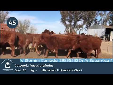 Lote Vc CGP -Huinca Renanco Cba