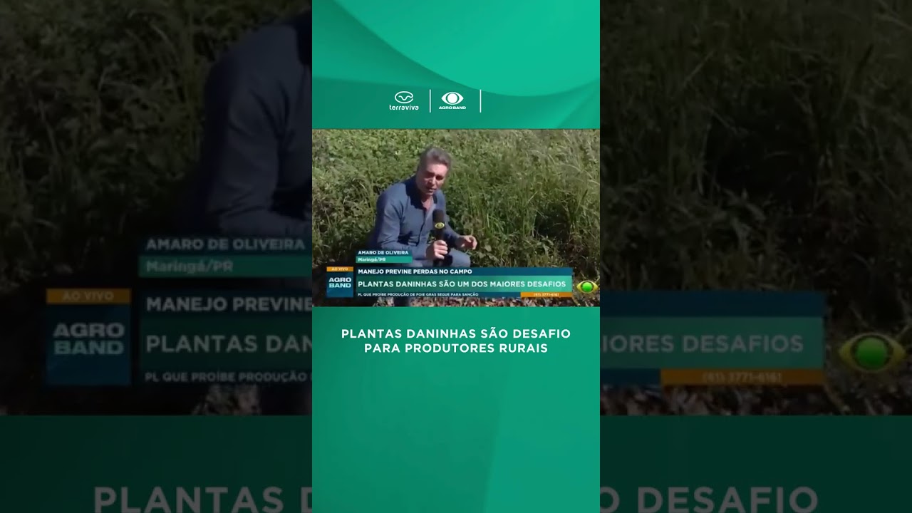 Plantas daninhas são desafio para produtores rurais