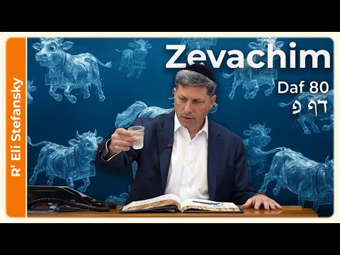 Daf Yomi Zevachim Daf 80 by R' Eli Stefansky