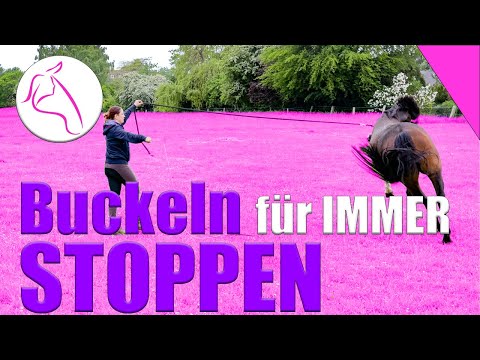 1 wichtige Übung für buckelnde Pferde | Unterricht Horsemanship