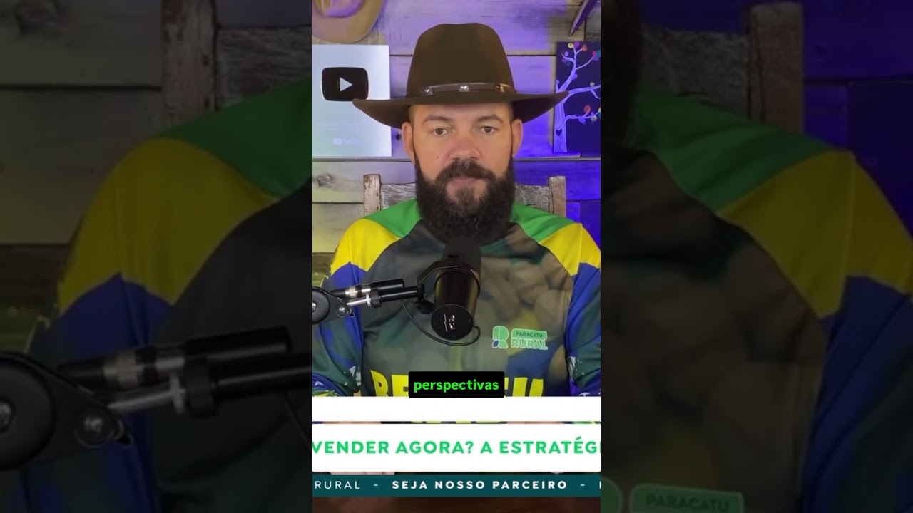 Vender milho agora ou esperar?