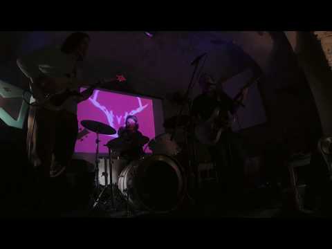 The Tin Turtles - The Tin Turtles - Animal Happiness (Míšeňská, Prague, 25.1.2019)