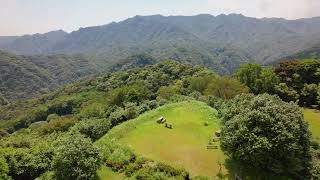 宮崎市空撮　椿山6月