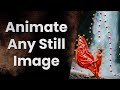Best App For Photo Animation Photo To Video Making Android Mobile App