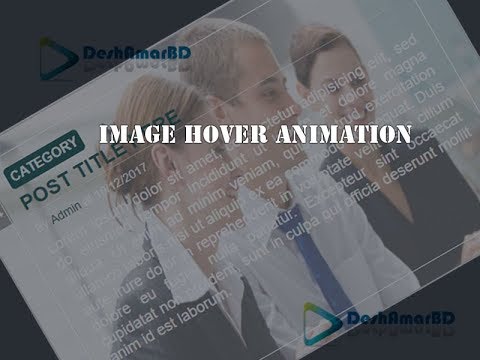 Image Box Hover Animation With social media Using HTML and CSS