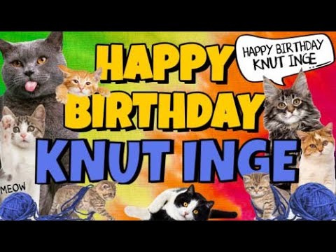 Happy Birthday Knut Inge! Crazy Cats Say Happy Birthday Knut Inge (Very Funny)