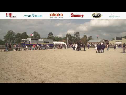 Fokdag | Het Friesche Paard Wolvega e.o. | 24 augustus 2024