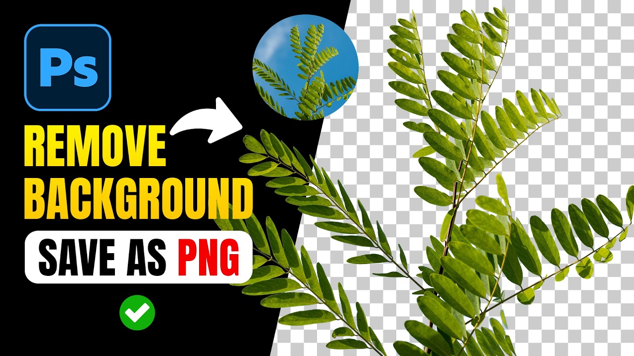 How to Remove Background & Export as PNG in Photoshop