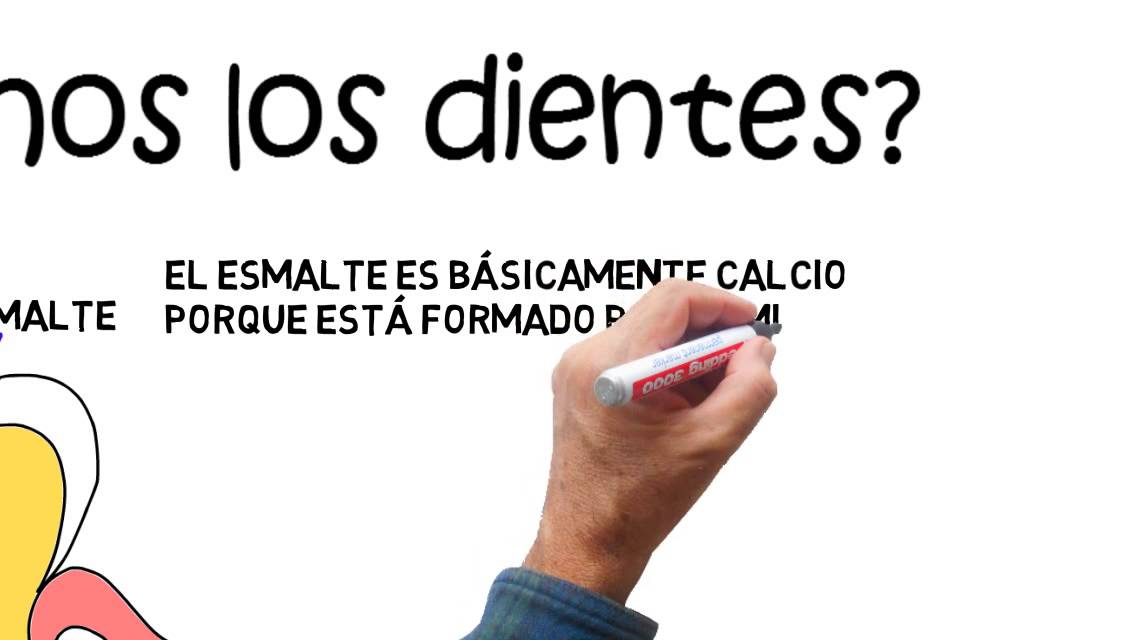 ¿De qué están hechos los dientes
