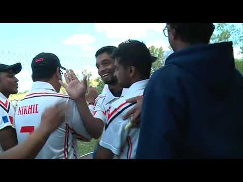 Toulouse : demandeurs d'asile et salariés de l'aéronautique partagent la même passion du cricket