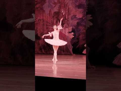 The Nutcracker act 3, Viktoria Tereshkina
