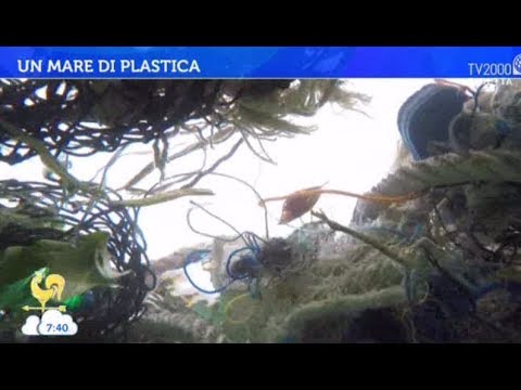 Un mare di plastica