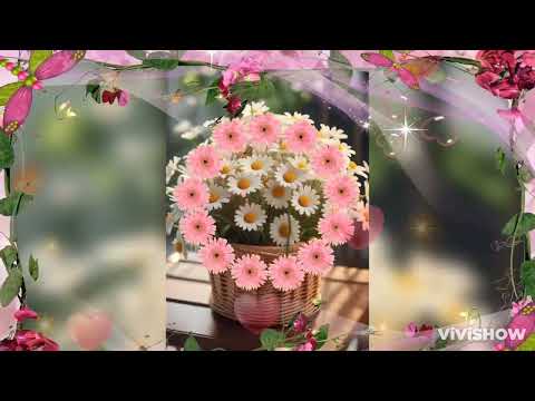 Good Morning 💖💖💖💖💖💖💖💖💖💖💖#highlights #everyone #morning #motivation #morningmotivation