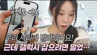 역대 최악이라던 WWDC26, 저는 생각이 좀 다릅니다
