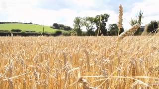 Tackling the Global Food Crisis: Supply Chain Integrity - free online course from FutureLearn