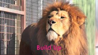 What Are Phrasal Verbs & Phrasal Nouns? - 1 - Learn English Idioms - EnglishAnyone.com