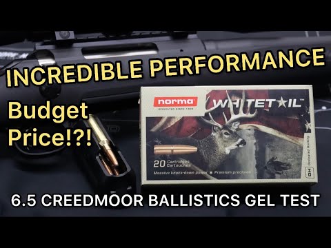 KILLS DEER CHEAP! 6.5 Creedmoor Norma Whitetail 140gr Ammo Test