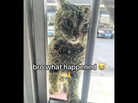 20,000 in Score! - Pandi's Aim Trainer (uhbl)