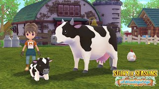 Story of Seasons: A Wonderful Life