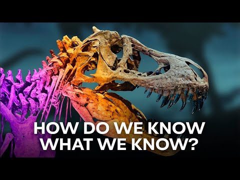 Facts and Fossils | The Light of Evolution - Episode 2