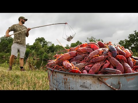 Catching CRAWFISH the OLD SCHOOL Way (Catch and Cook)