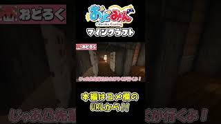 【マイクラ】ポンコツ達がアスレチックをやると…【ゆっくり実況】#shorts