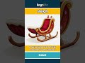 sleigh (noun) - definition and usage in English