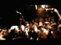 The Baggios - Just me and the trees 
