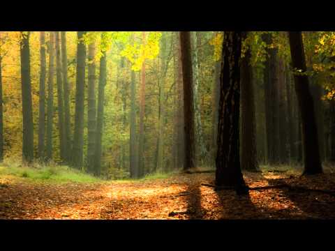 Relaxing, Ambient instrumental Music, Music for sleep, relaxation, meditation