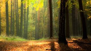 Relaxtopia - Secret Garden (Relaxing Music)