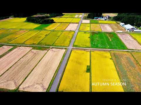 山形県小国町PR動画（令和5年度）