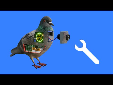 How to Fix a Bird