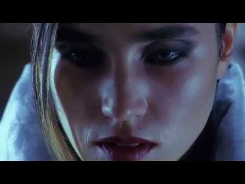 Dianka x zdechły osa - Eksperyment